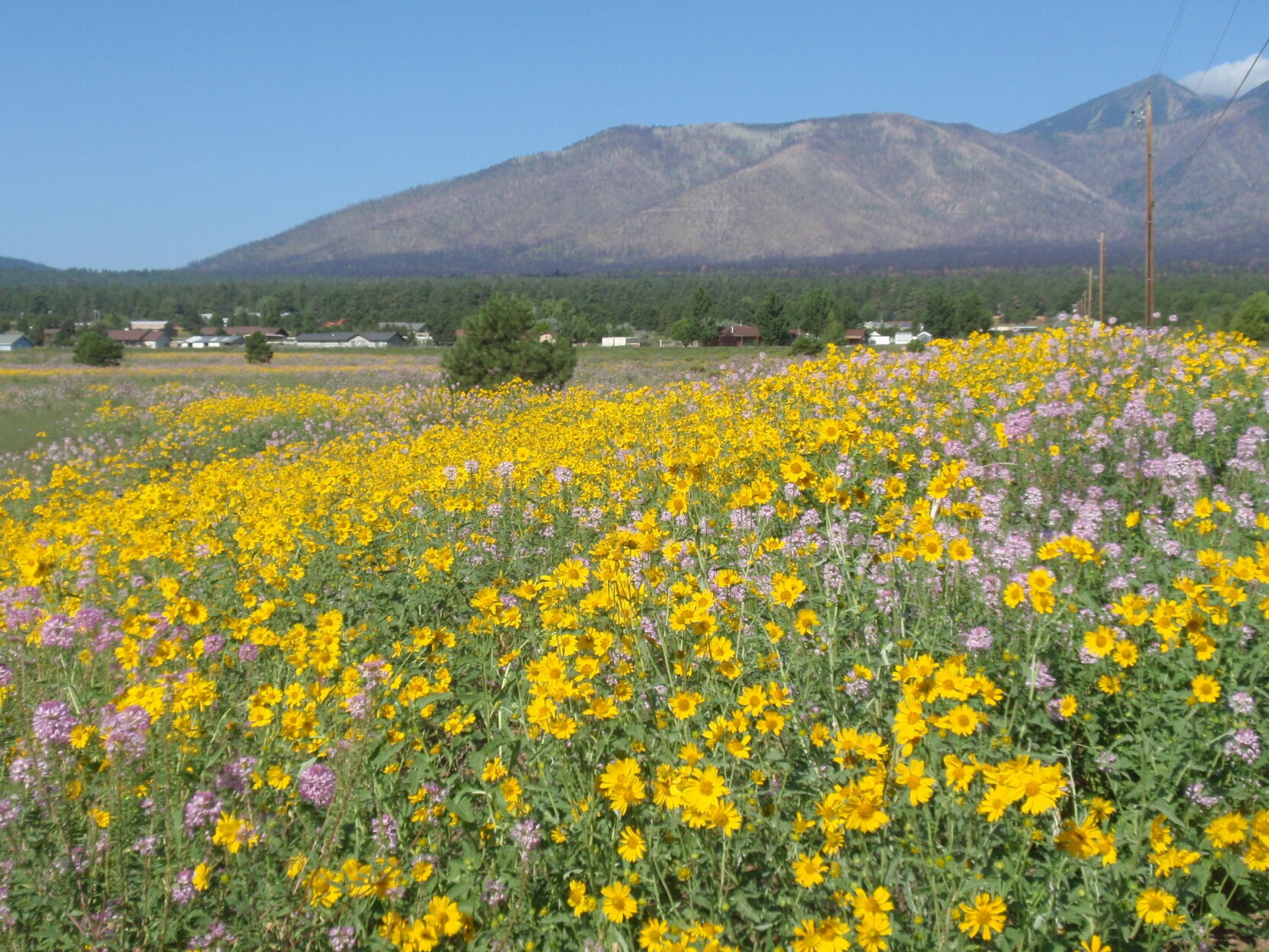 Travels with Two Sisters: HEADING TO HIGH COUNTRY